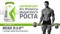 MUSCLEPHARM BCAA 3:1:2 (240 КАПС.)